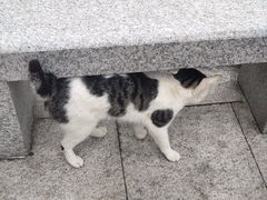 -西湖公园(鼓楼区)