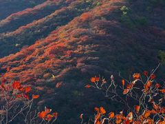 -水峪民俗村