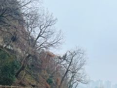 -焦山风景区