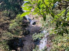 -东天目山风景区