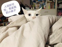-小菜园新徽菜(合肥瑶海万达店)