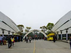 -上海鲜花港