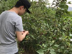 -同銮特种养殖场·龙虾垂钓