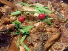 -老板恋上鱼(恒隆广场店)