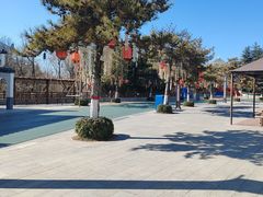 -青岛方特梦幻王国