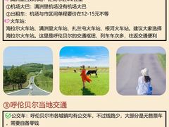 -呼伦贝尔大草原