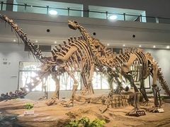 -自贡恐龙博物馆