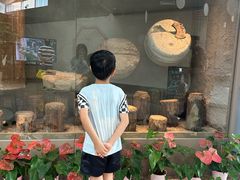 -元代水闸遗址博物馆