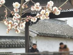 -南翔古镇