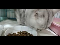 -萌兽医馆·宠物医院·猫骨科(创景店)