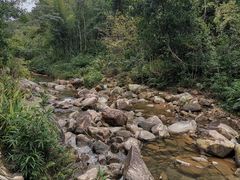 -广州白江湖森林公园