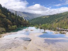 -黄龙山原始森林景区