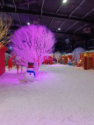 -圣名游乐城冰雪大世界