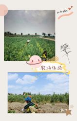 -麦粒鸟亲子游