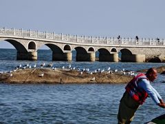 -兴城海滨风景区