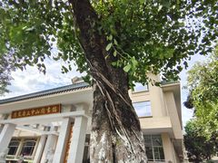 -广州鲁迅纪念馆(国民党一大旧址)