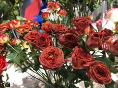 -Libra Flora花店(骆岗中央公园店)