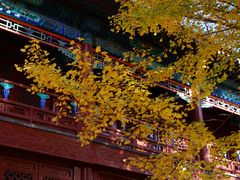 -大钟寺古钟博物馆