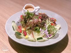 野菜沙拉-铁酱披萨(常州龙湖天街店)