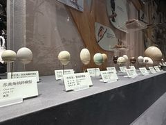 -天津自然博物馆