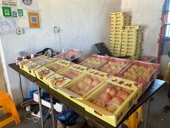 -南汇水蜜桃采摘(大团店)