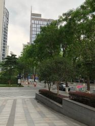 -莉泽月子中心(鹅潭汇店)