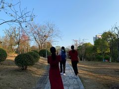 -聚龙山公园