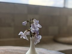 -婺源月亮湾