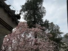 -潭柘寺景区