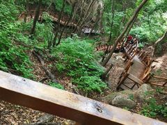 -大岭沟猕猴桃谷风景区