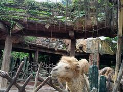 -长鹿旅游休博园