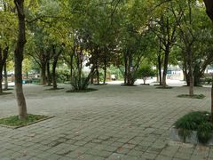 -宁波儿童公园(鄞州区)