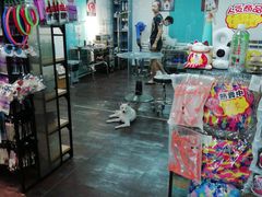 -派多格宠物·购宠(靛厂路店)