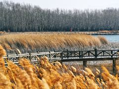 -野鸭湖国家湿地公园