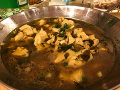 -金孔雀温泉旅游度假村