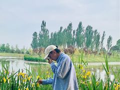 -东郊湿地公园