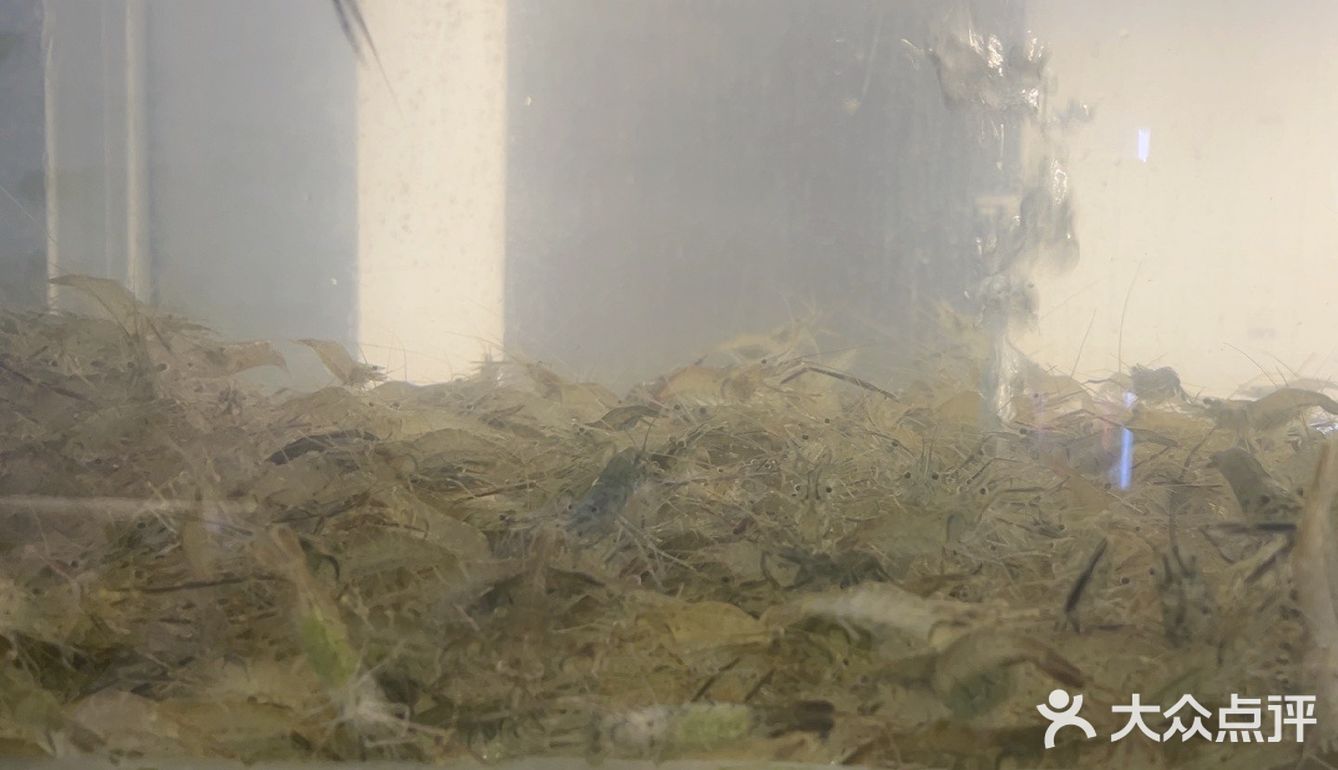 品尝这道特色佳肴