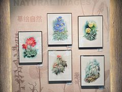 -四川大学博物馆