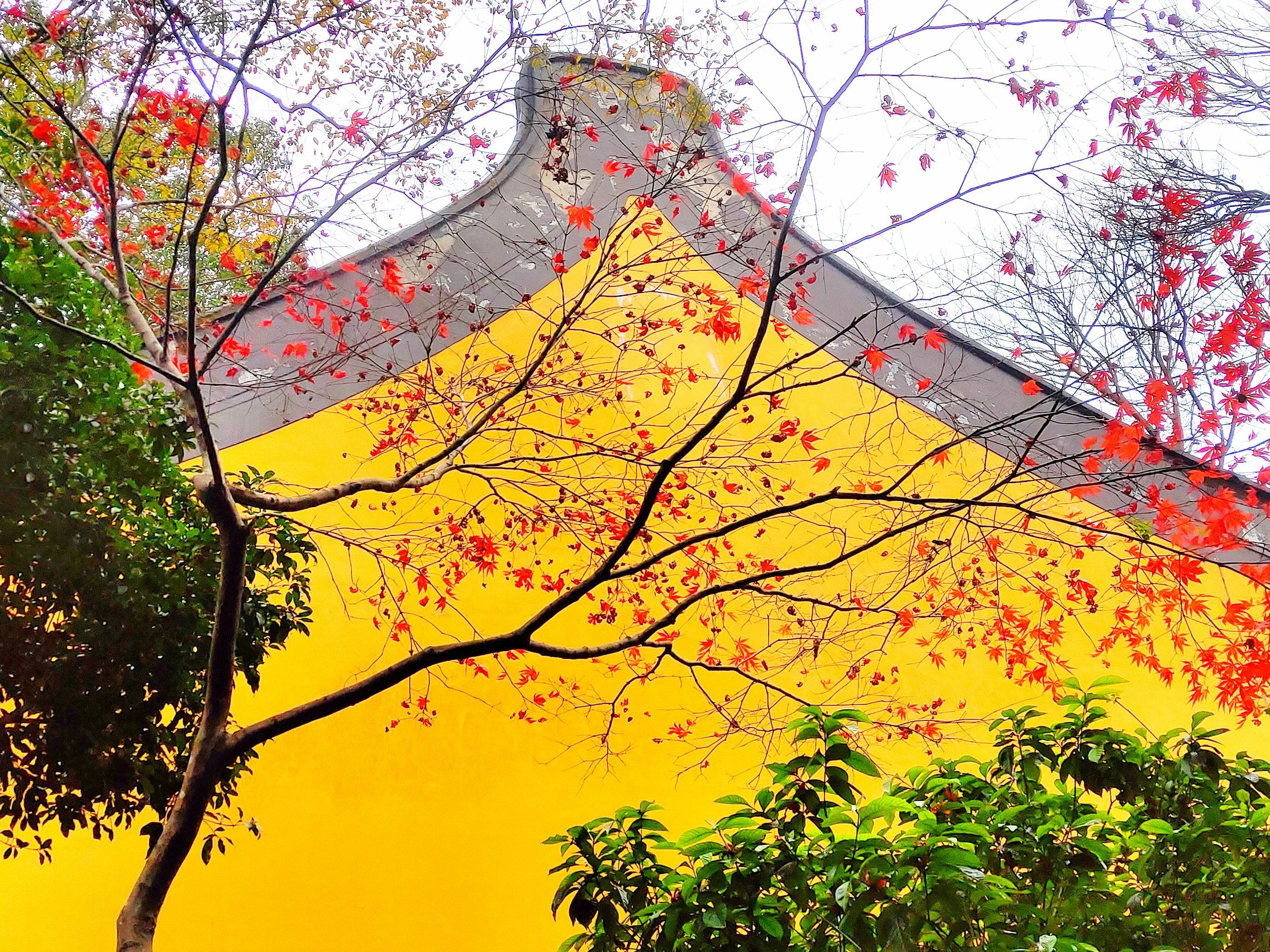 寺庙的冬日美丽韵味