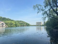 -杭州半山国家森林公园