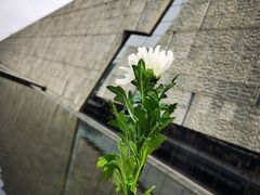 -侵华日军南京大屠杀遇难同胞纪念馆-停车场