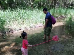 -碓臼峪自然风景区