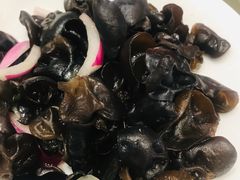 -上海雅居乐万豪侯爵酒店