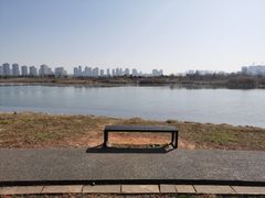 -洋湖国家湿地公园