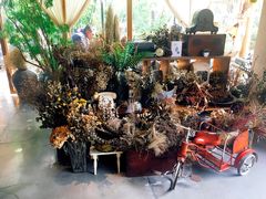 -时光花园(白鹭洲店)