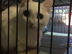 -赢吧Bliss音乐酒吧