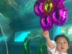 -北国之春国宴(乌兰察布店)