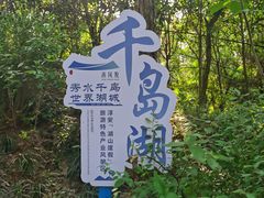 -千岛湖天屿景区