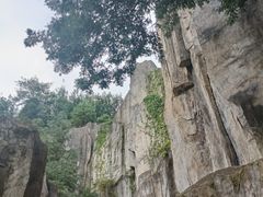 -长虫山生态公园风景林