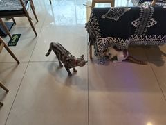 -平行世界·猫咖(首经贸店)